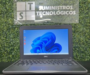 WhatsApp Image 2026-02-12 at 12.22.38 PM